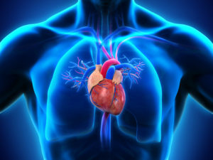 Heart & Lungs Health 
